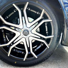 gallery_toyota_lancru_3-min